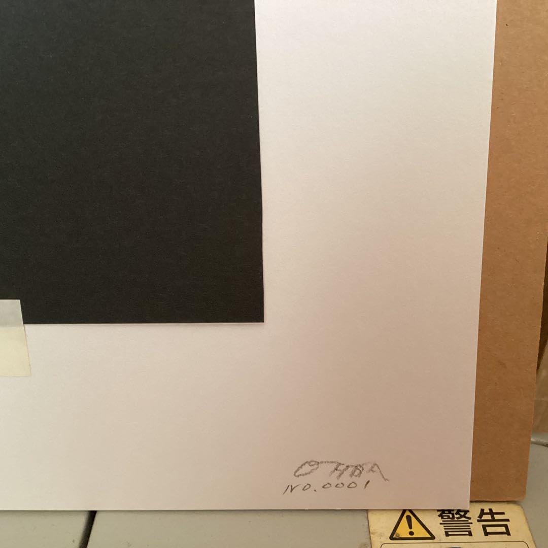 Amazon.co.jp: 大場雅文作 山女魚アート画 作者サイン 作品 額装裏有り