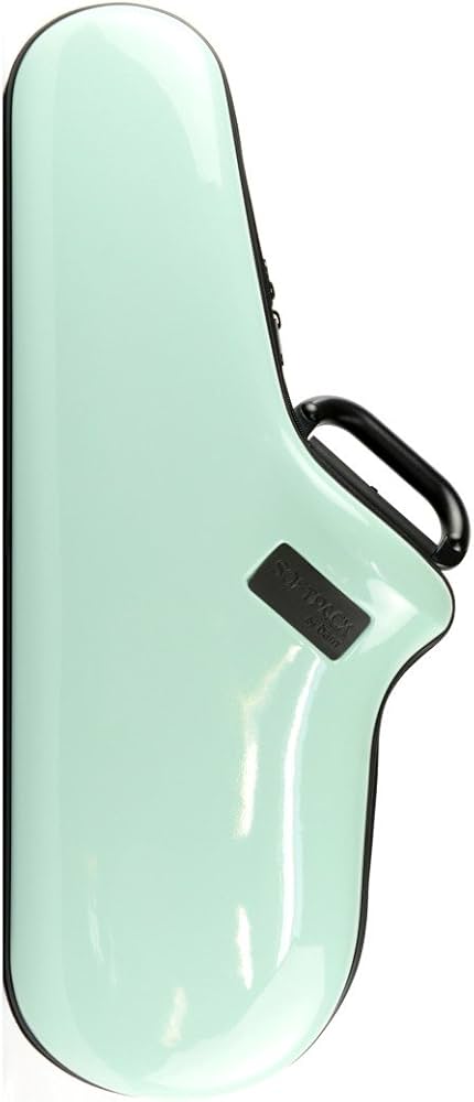 Amazon.com: Bam Softpack Alto Saxophone Case - Mint - 4001SM