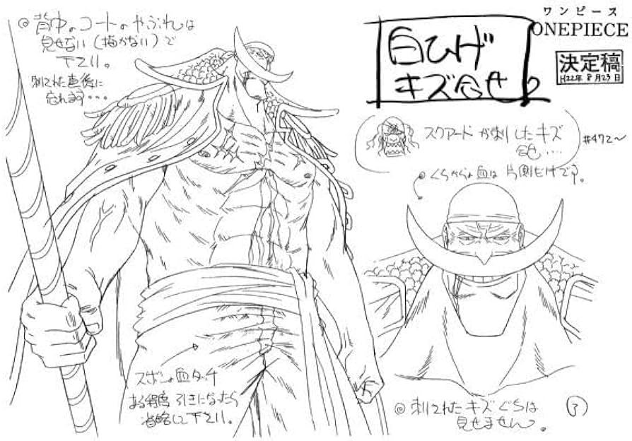 2025年最新Yahoo!オークション -ワンピース 設定資料(アニメーション