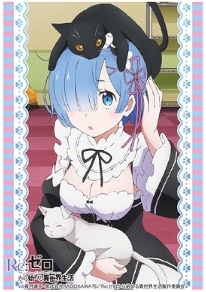 Amazon | ブシロードスリーブコレクションHG (ハイグレード) Vol.1078