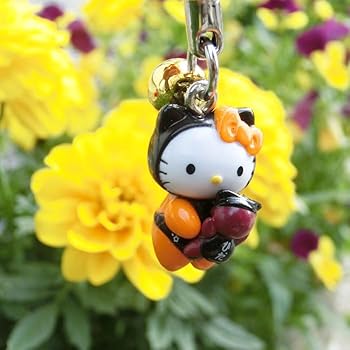 Amazon.co.jp: [おはなもあな] 天満宮 ご祈祷 済み サルボボ ハロー