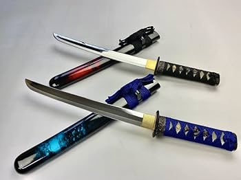 51eu-P2RPLL._AC_UF350,