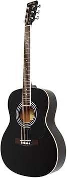 Amazon | HONEY BEE ハニービー アコースティックギター フォーク