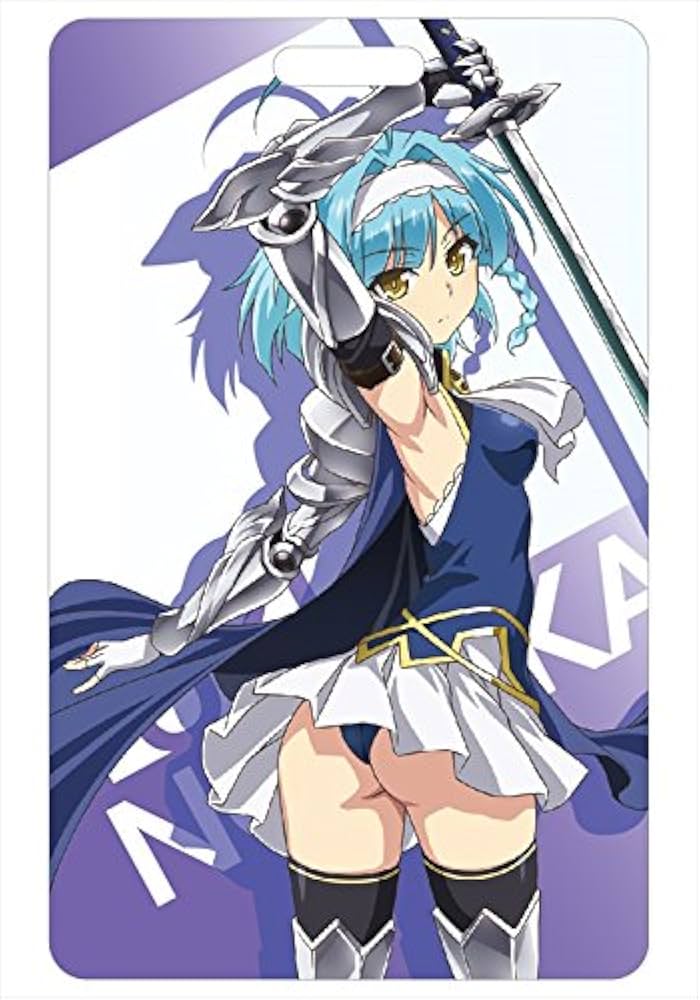 Amazon.co.jp: 新妹魔王の契約者 ICカードケース 野中柚希 : おもちゃ