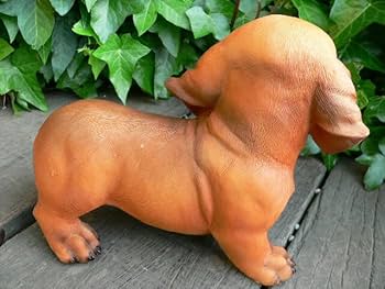 51fbqCAoXML._AC_UF350,