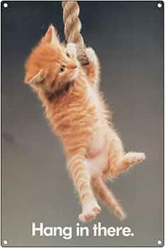 51feILvVFGS._AC_UF350,