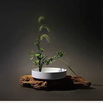 Amazon.co.jp: 生花用の花器 花瓶 鉢 盆栽鉢 プラスチック製 水盤