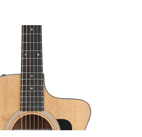 Amazon.com: Taylor 114ce : Musical Instruments