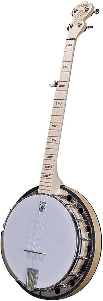 Amazon.com: Deering Goodtime Special 5-String Banjo : Musical