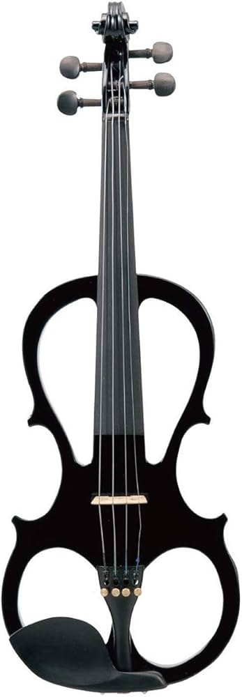 Amazon | キクタニ (Kikutani) エレキバイオリンセット サテンブラック