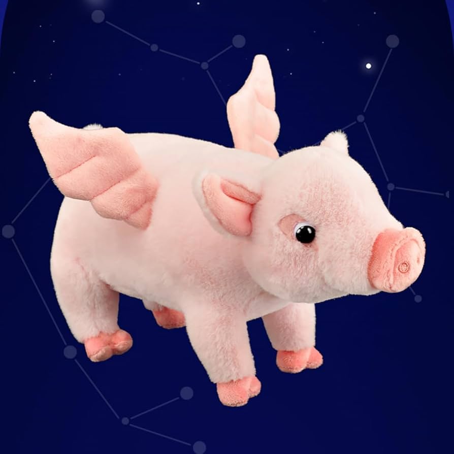 51ggbfbm0kL._AC_UF894,