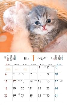 カレンダー2026 ふわふわこにゃんこ（月めくり/壁掛け/600mm×380mm