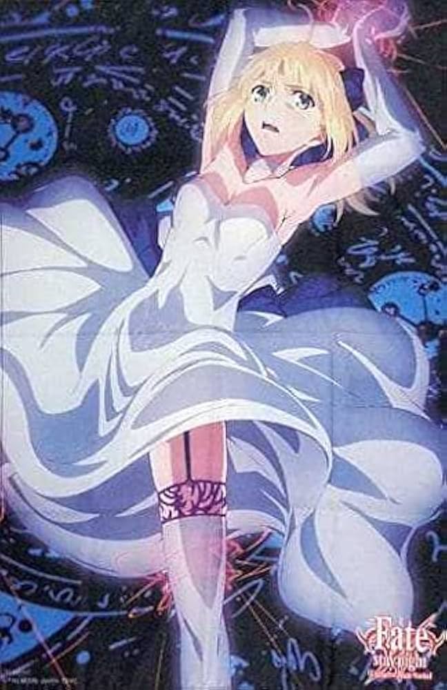 Amazon.co.jp: Fate/stay night Unlimited Blade Works セイバー B1布