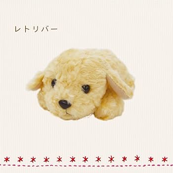 51hYOOTu6DL._AC_UF350,