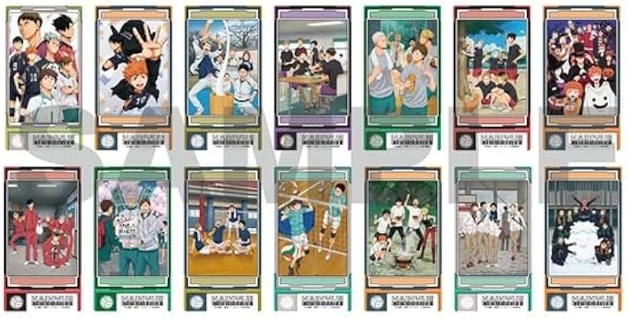 Amazon.co.jp: アニメ『ハイキュー！！』 ビジュアルクリアチケット2