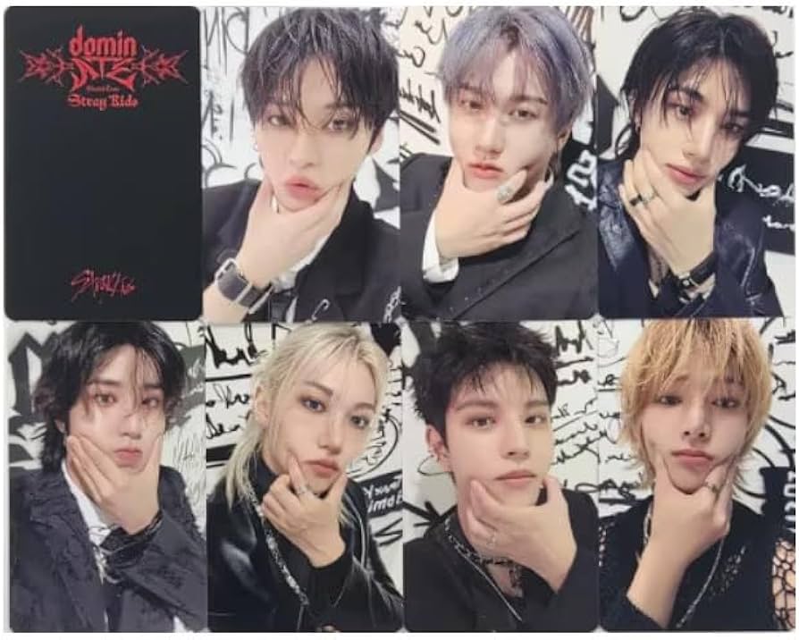 Amazon.com: STRAYKIDS dominATE SEOUL ONLINE POP UP MD POCA