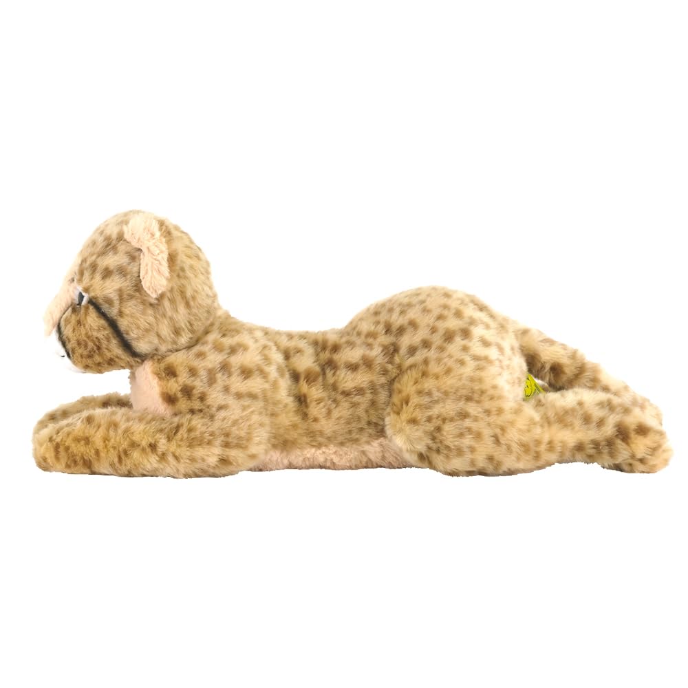 Amazon.co.jp: サンレモン ひざちーたー あかちゃん 16×42×16cm