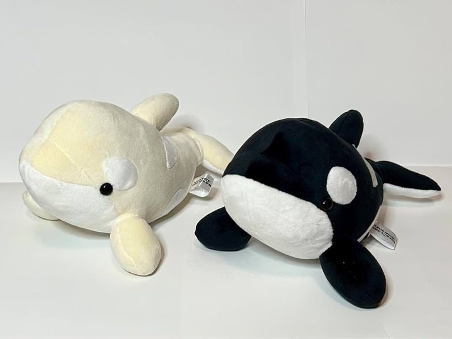 Amazon.co.jp: 名古屋港水族館 ぬいぐるみ くじ シャチ 2種類 : おもちゃ