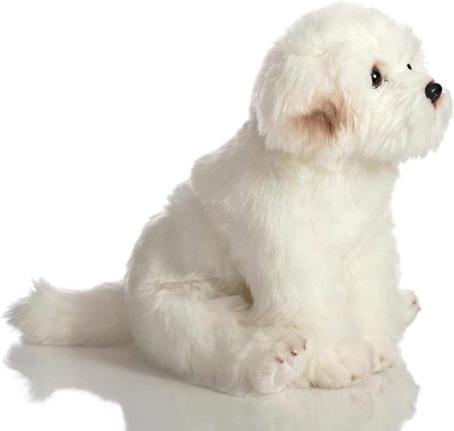 Amazon.co.jp: HollyHOME マルチーズ ぬいぐるみ リアル マルチーズ 犬