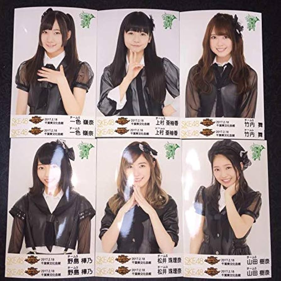 SKE48 全国ツアー 千葉県文化会館 生写真 2種コンプ a 検)革命の丘