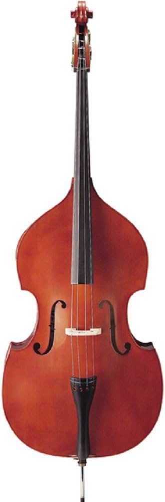 Amazon | Hallstatt ハルシュタット ウッドベース WBS-800 4/4サイズ