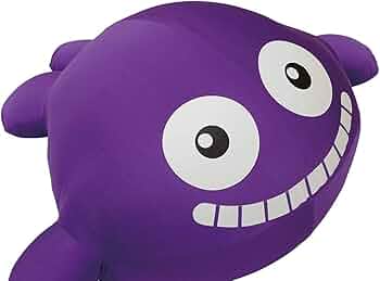 51jX7RcvLGL._AC_UF350,