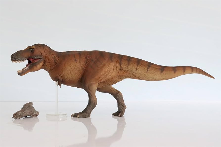Amazon.co.jp: PNSO 恐竜博物館 1/35 サイズ ティラノサウルス