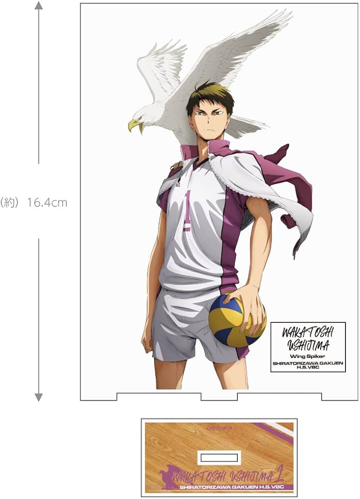 Amazon.co.jp: 【公式】コスパ ハイキュー!! 牛島若利 アクリル