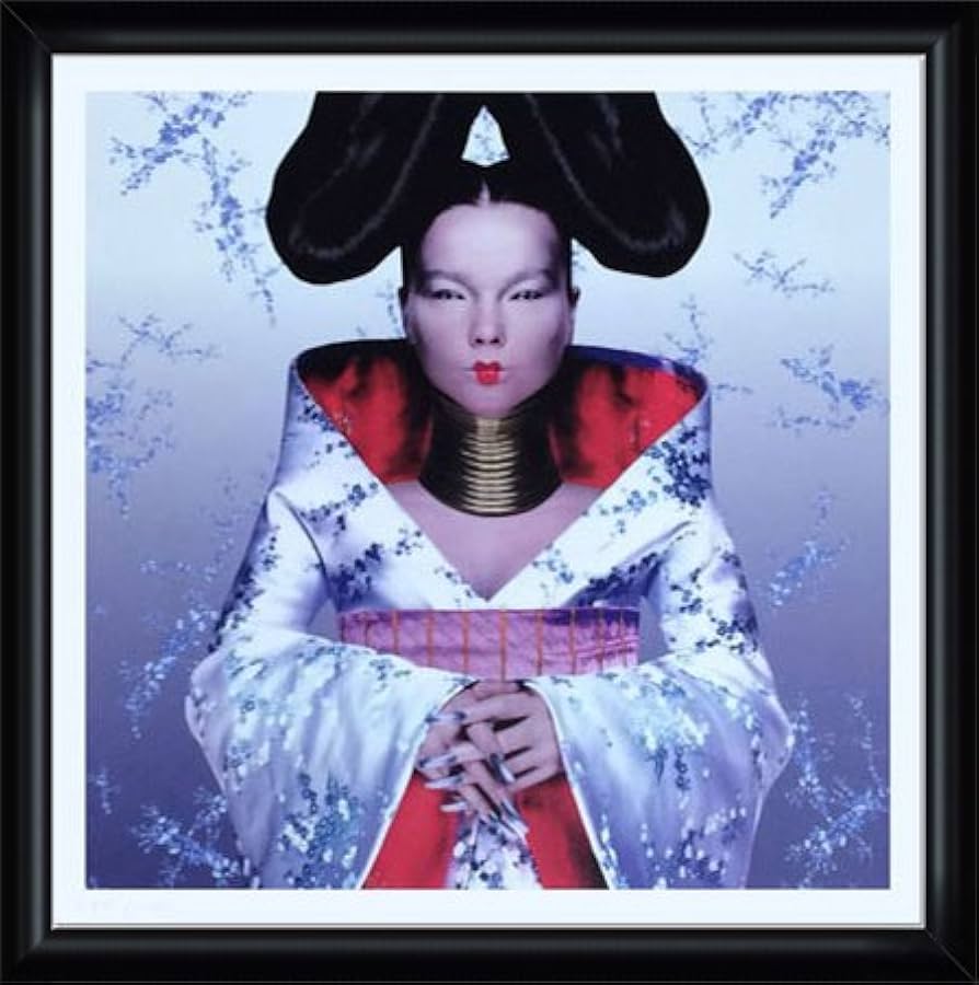 Amazon.co.jp: ポスター ビョーク Bjork（ビョーク）/Homogenic 1997年