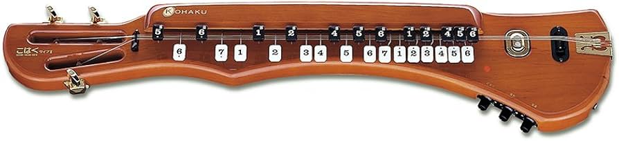 Amazon | SUZUKI スズキ 電気大正琴 こはくタイプⅡ | 大正琴 | 楽器