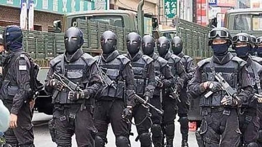 Amazon.co.jp: （実物）高空特種勤務中隊 第602陸軍航空旅団ワッペン2