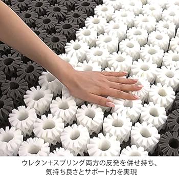 51lFGW3QtSL._AC_UF350,