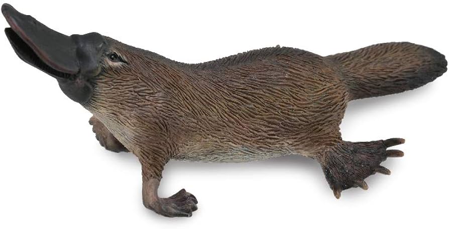 Amazon | カモノハシ 88795 | フィギュア・ドール 通販