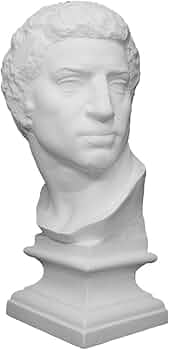 51mWzm1X8pL._AC_UF350,