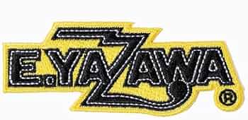 51nH4Y7+2jL._AC_UF350,