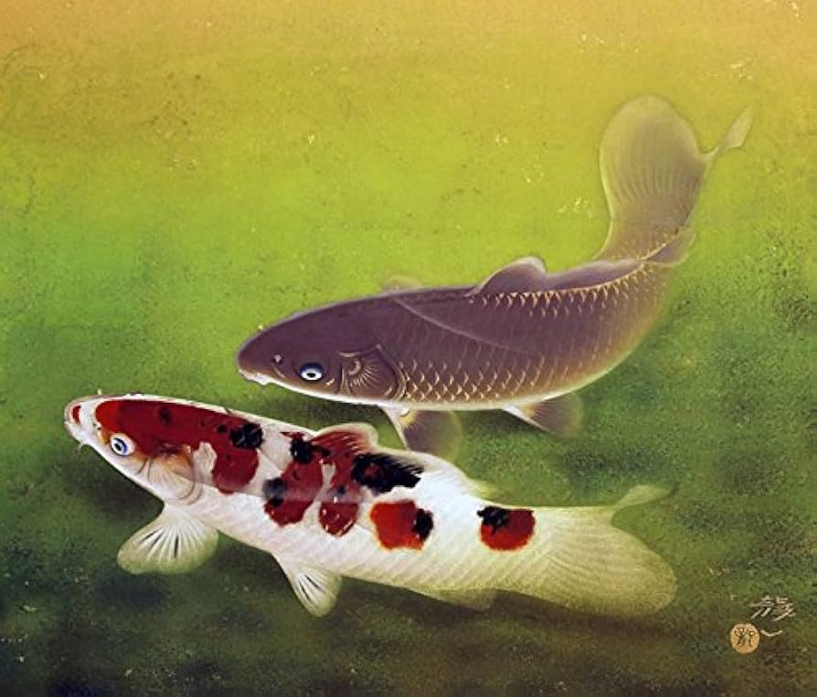 51nNrSGc7YL._AC_UF894,