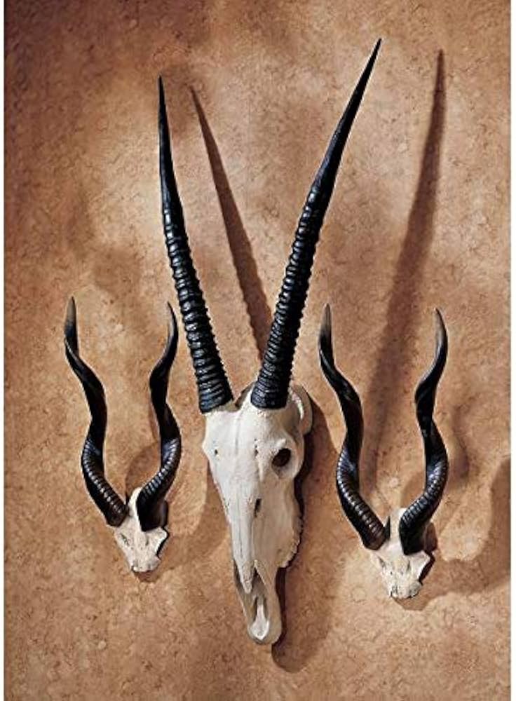 Amazon.co.jp: アフリカ クーズー 角 牛 壁掛け置物壁飾りオブジェ