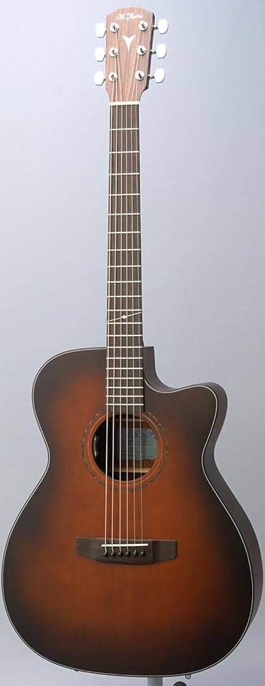 Amazon.co.jp: K.Yairi YFL-55CE VS エレアコギター エレクトリック