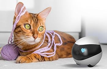 Amazon.co.jp: EBO SE 自走式カメラ ペットカメラ 可動式 家庭向け小型