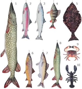 Amazon｜ダルトン(Dulton) フィッシーズ パイク 195 暮らしに活きる