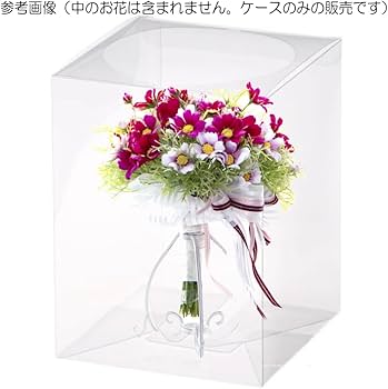 Amazon.co.jp: 日本製 Mサイズ 15cm×15cm×高さ20cm 1個クリアケース