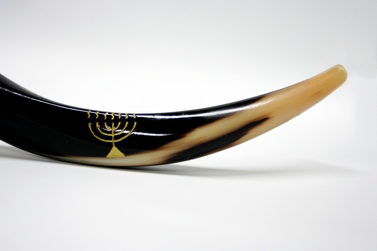 Amazon | Full-Polished Yemenite Shofar 【Jumbo(111-119cm)】 ショ