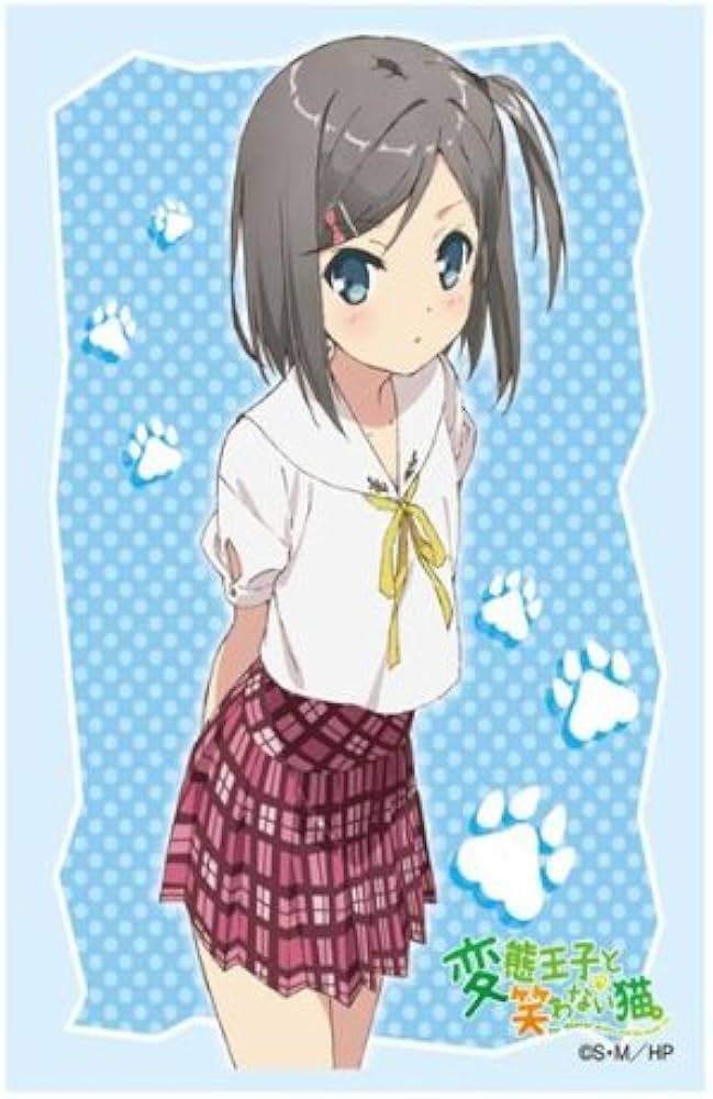 Amazon | ブシロードスリーブコレクションHG (ハイグレード) Vol.532