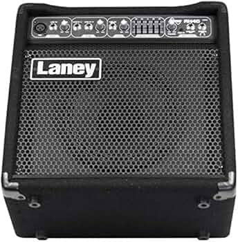 Amazon.co.jp: Laney (レイニー) ボーカル/楽器用アンプ AH40