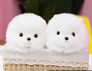 Amazon.co.jp: ぬいぐるみ イヌ 人形 マルチーズ犬 (マルチーズ23cm