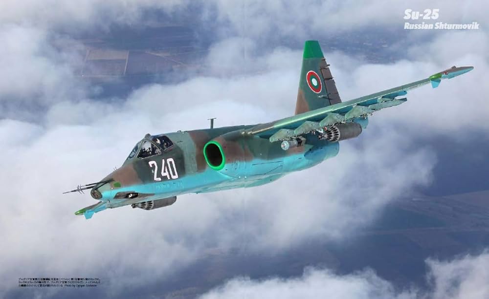 Su-25 フロッグフット (世界の名機シリーズ) | 富永 浩史, 宮永 忠将