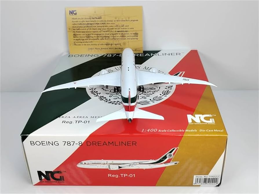 Amazon.com: ACE HOBBY NG Models Mexican Air Force for Boeing B787