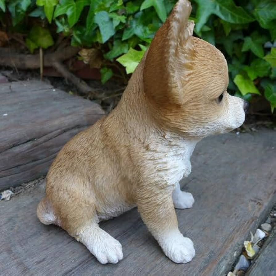 Amazon.co.jp: 犬の置物 チワワ いぬ イヌ 動物 T14063 ちわわ