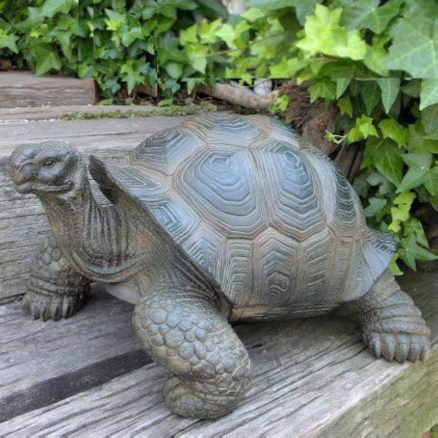 Amazon.co.jp: 亀の置物 かめ カメ タートル 90QY 動物 置物 玄関