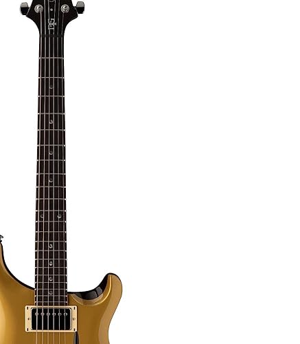 Amazon.com: PRS SE DGT Electric, Moons Gold Top with Gigbag